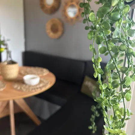 Apartment Buitenhuys In De Betuwe *