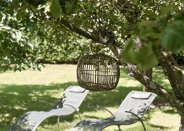 Buitenhuys In De Betuwe Lienden